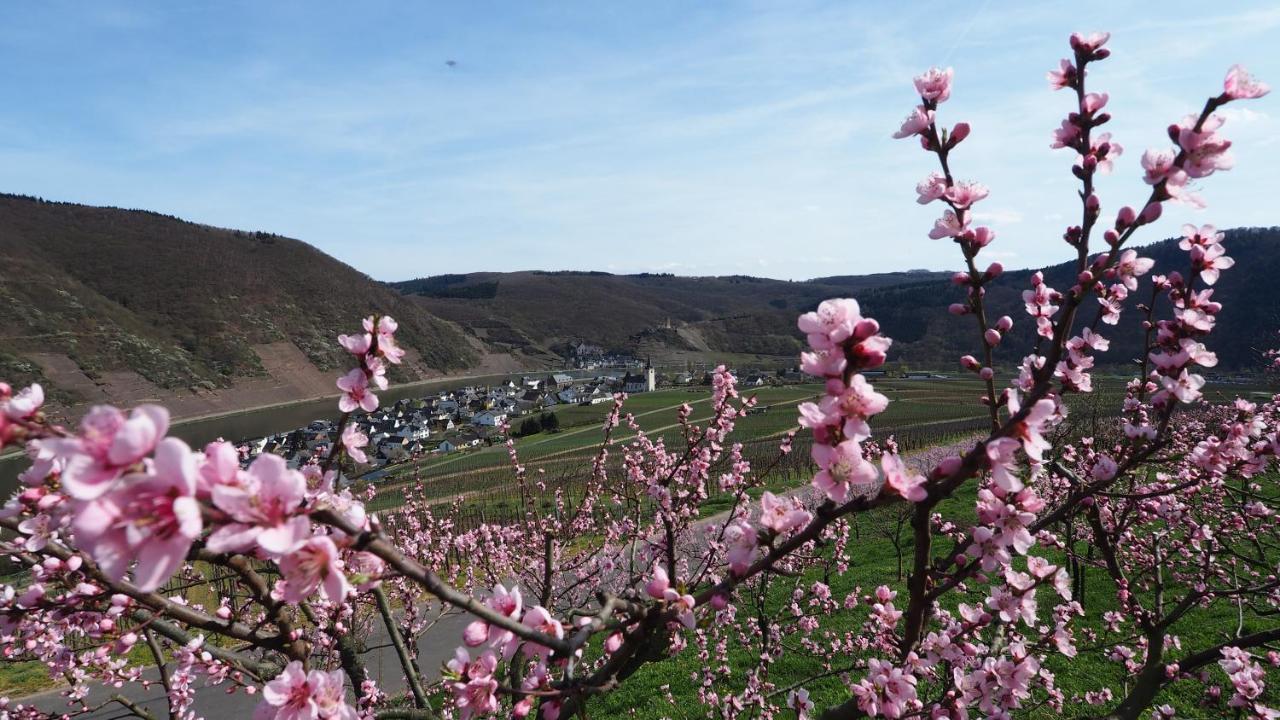 Gaestehaus Preuss Ellenz-Poltersdorf Ngoại thất bức ảnh